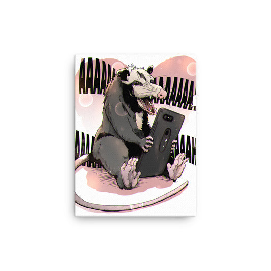 OMG-Possum Canvas print 12"x16"
